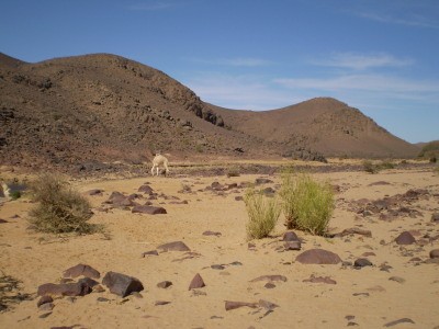 Cesta do Mali za Tuaregy