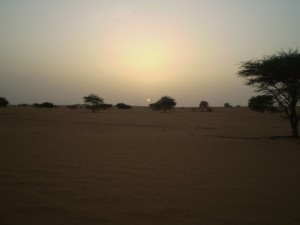Večer v poušti. Sahara, údolí Tilemsi, Mali.