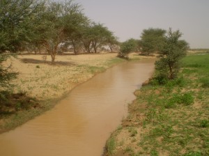Vyschlá řečiště se naplní vodou. Okolí Kidalu, sever Mali, srpen 2008.