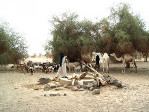 Studna u Kidalu, Mali. Foto : www.flickr.com